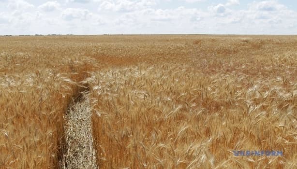 In 2025, Ukraine sold over 356,000 hectares of agricultural land, marking a significant uptick in land market activity post-moratorium, a...