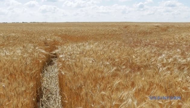 Ukraine sold more than 356,000 hectares of agricultural land in 2025, according to Dmytro Makarenko, head of the State Service for Geodes...